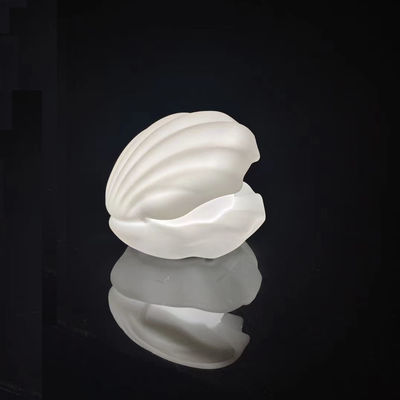 Farbenfrohe Poolleuchten, RGB LED Kinder Nachtlicht Muschelform