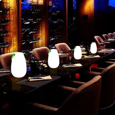2700K CCT Plastik-LED-Portable-Lampe für Restaurants